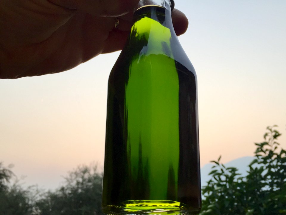 Frisches Olivenöl